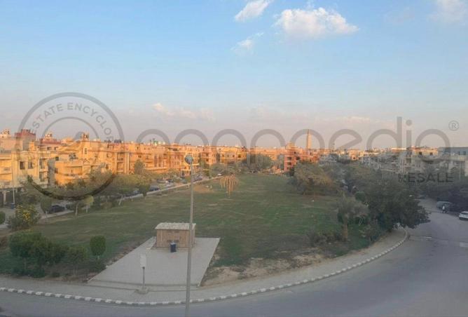 8449466 - Property Image 3