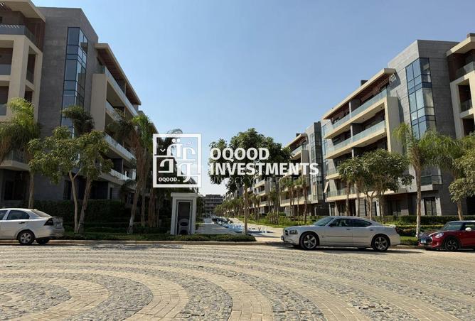 8280252 - Property Image 2