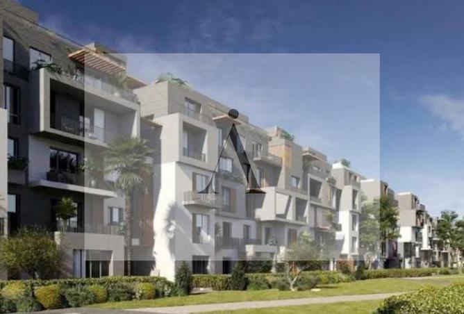 8017537 - Property Image 2