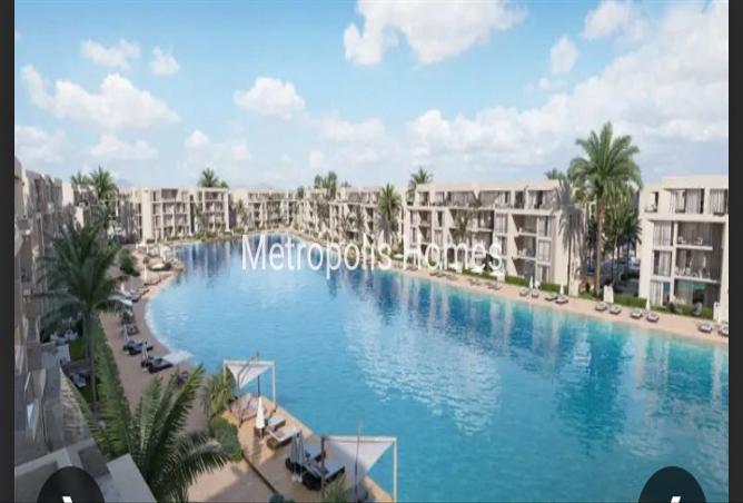 8147276 - Property Image 2