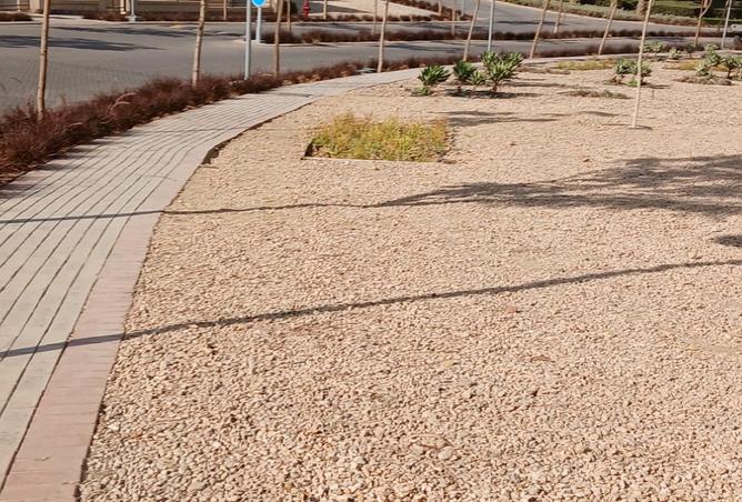 8565794 - Property Image 3