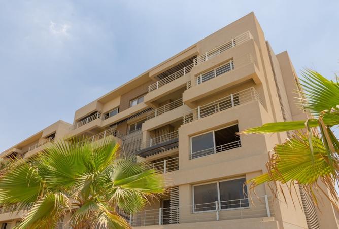 8285382 - Property Image 3