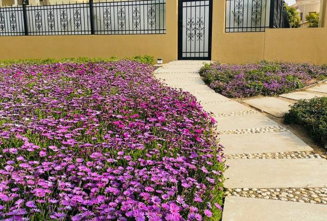 8242728 - صورة العقار 3