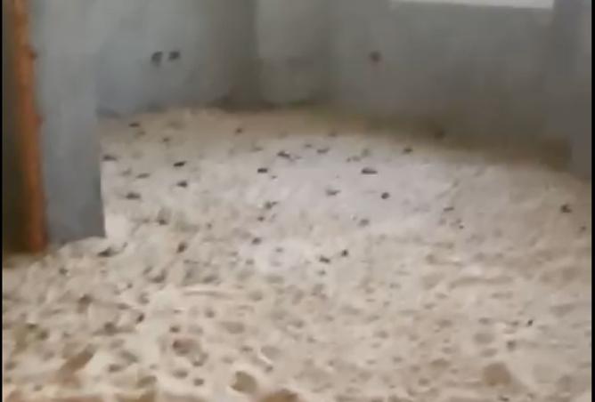 8362789 - صورة العقار 3