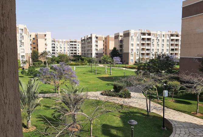 8455859 - Property Image 3