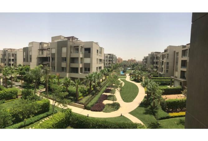 8126113 - Property Image 2