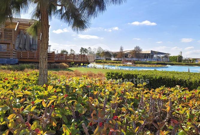 8533934 - صورة العقار 3