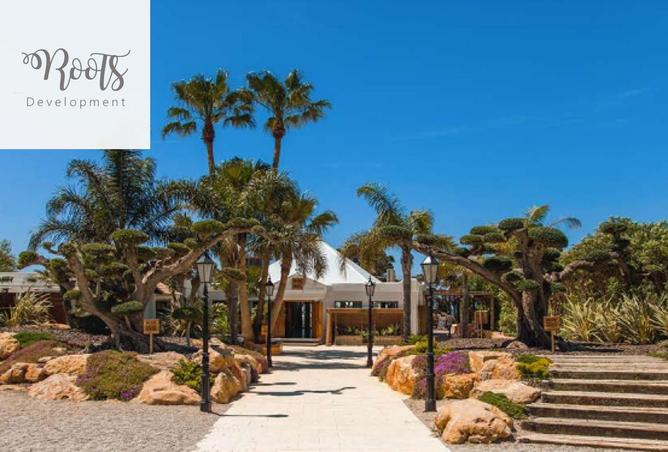 8282425 - الصورة الرئيسية للعقار