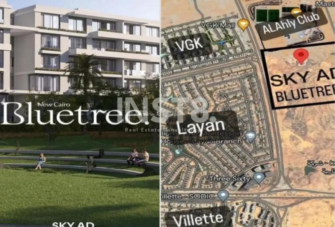 8429999 - Property Image 3