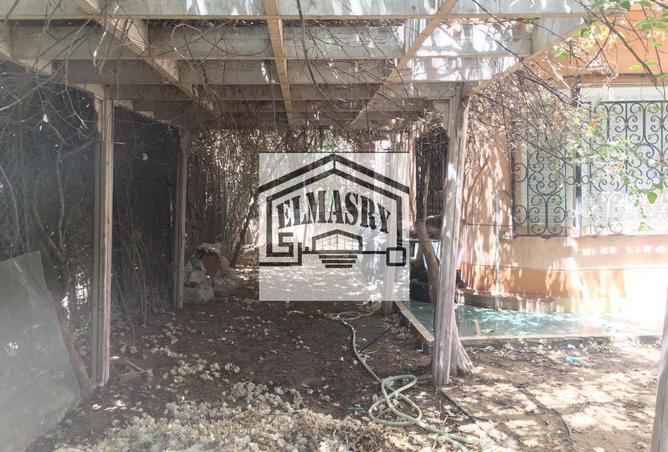 8232037 - صورة العقار 3