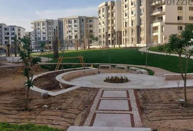 8167814 - Property Image 3