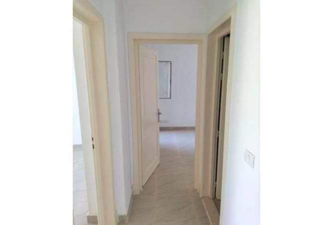 7916716 - Property Image 3