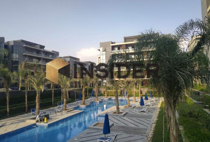 8477048 - Property Image 3