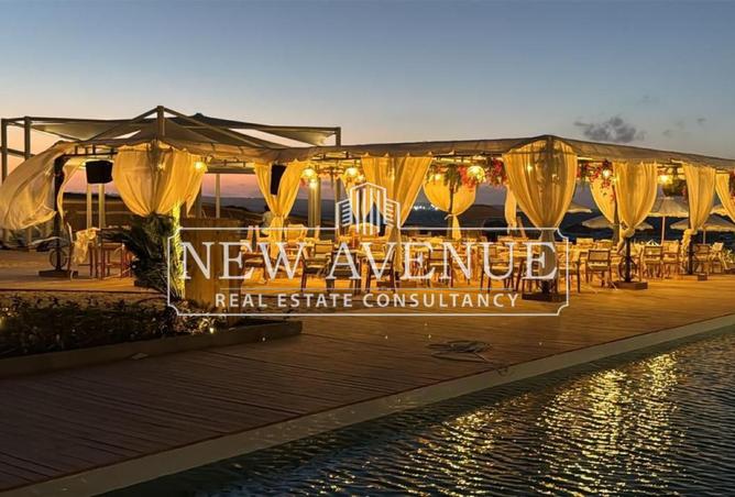 8206576 - Property Image 2