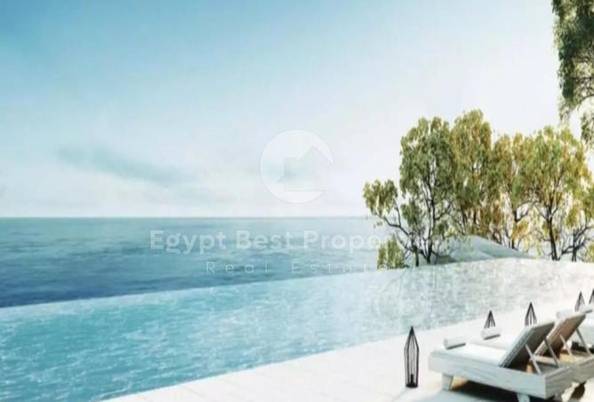 7922919 - Property Image 3