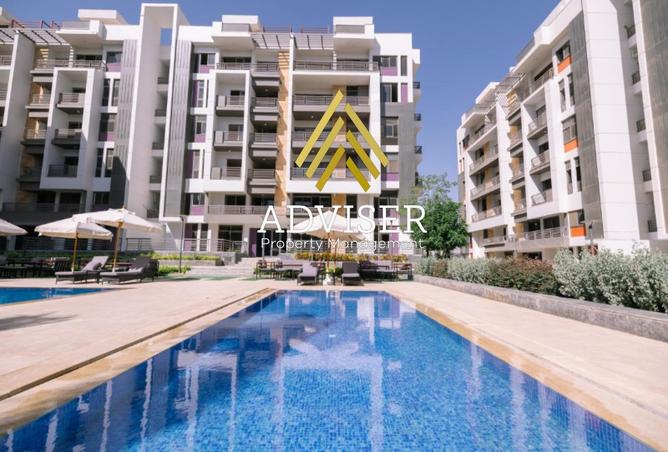 8050949 - Property Image 3