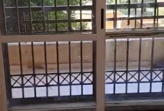 8096485 - صورة العقار 3