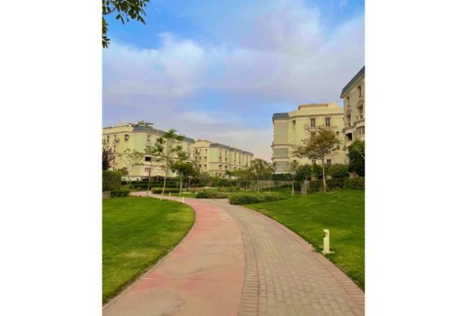 8240720 - Property Image 3