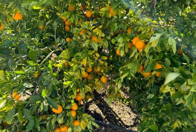 8077717 - Property Image 2