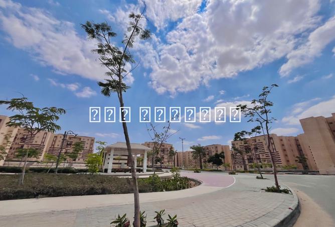 8054237 - صورة العقار 3
