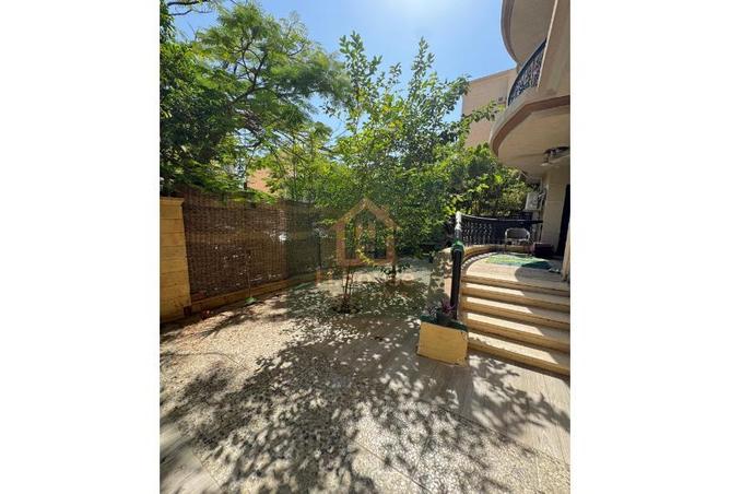 7986205 - Property Image 3