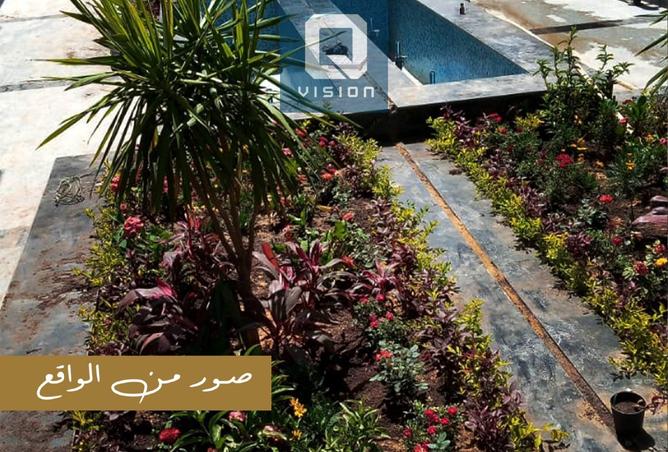 7423316 - صورة العقار 3