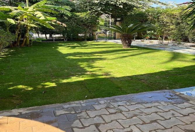 7985285 - الصورة الرئيسية للعقار
