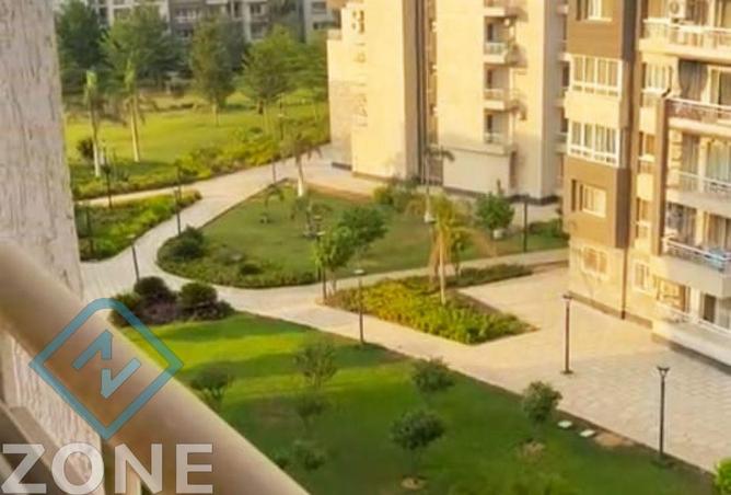 7903796 - صورة العقار 2