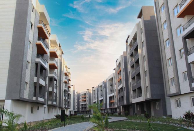 7914961 - Property Image 3