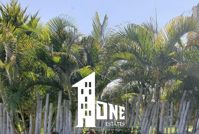 8270519 - Property Image 2