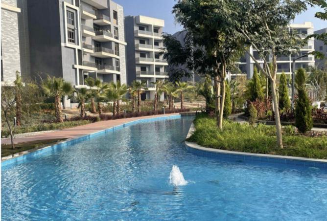 7991047 - Property Image 2