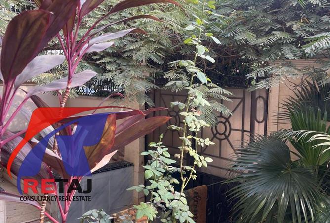 8378163 - Property Image 3