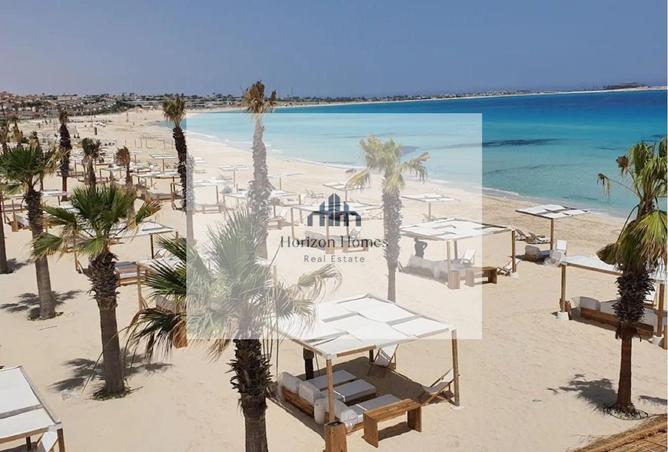 7892795 - صورة العقار 3