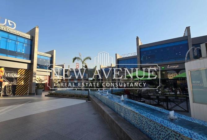 8292358 - Property Image 3