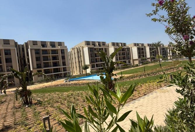 7899268 - Property Image 3