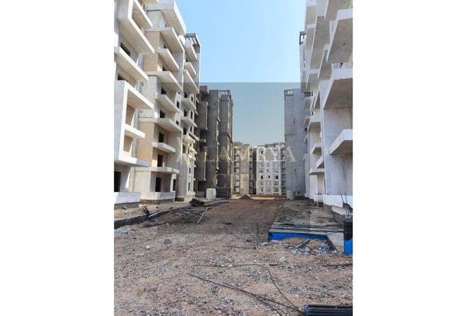 7953466 - صورة العقار 3