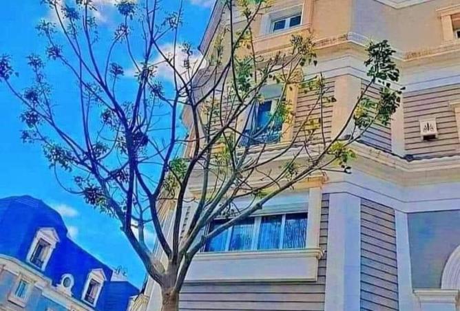 8433853 - Property Image 2