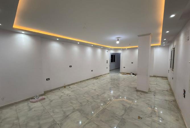 8174275 - Property Image 3