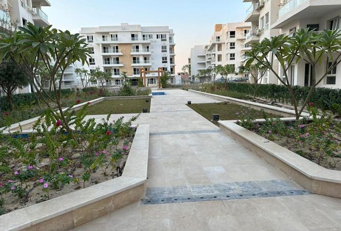 8308752 - Property Image 3