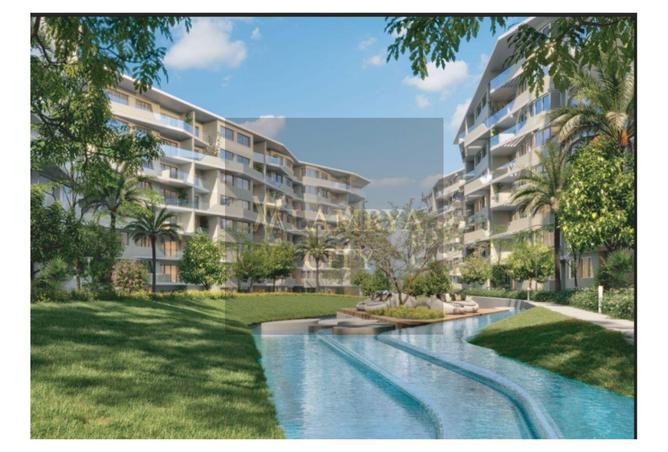 8123196 - Property Image 3