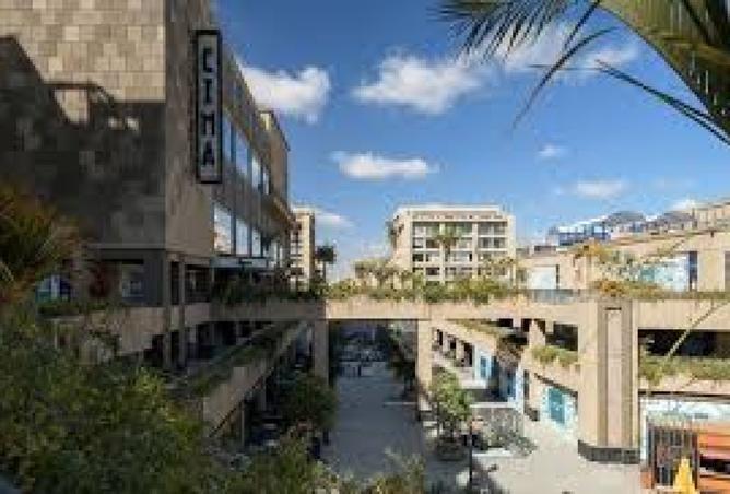 8040595 - Property Image 3