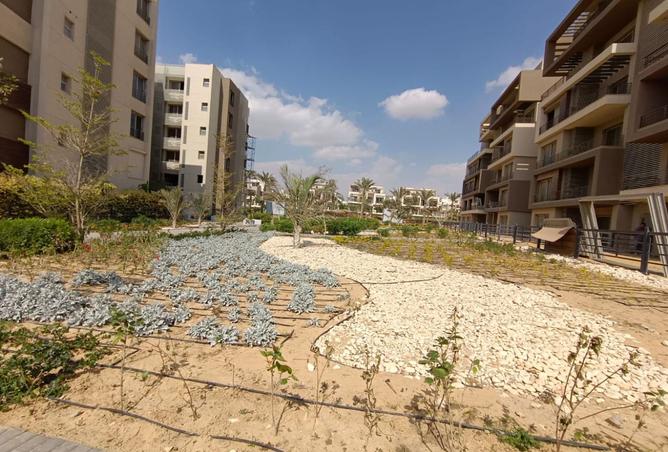 8049869 - صورة العقار 3