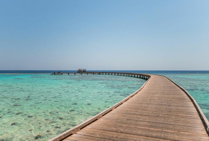 8001231 - صورة العقار 3