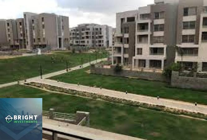 8424985 - Property Image 3