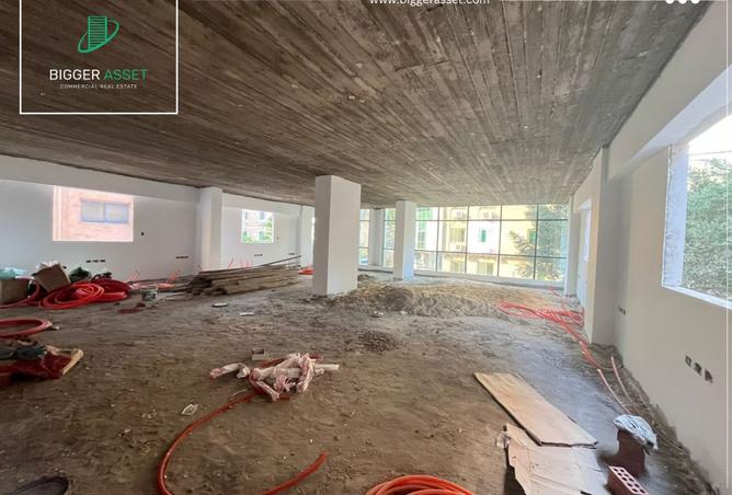 8019604 - Property Image 3