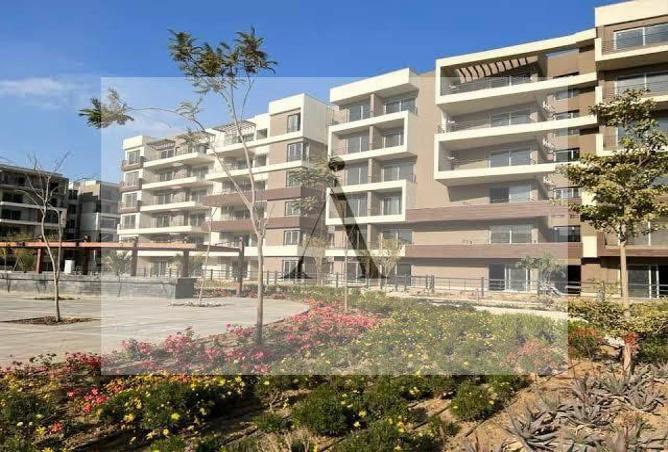 7975083 - Property Image 3