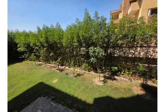 7964885 - صورة العقار 2