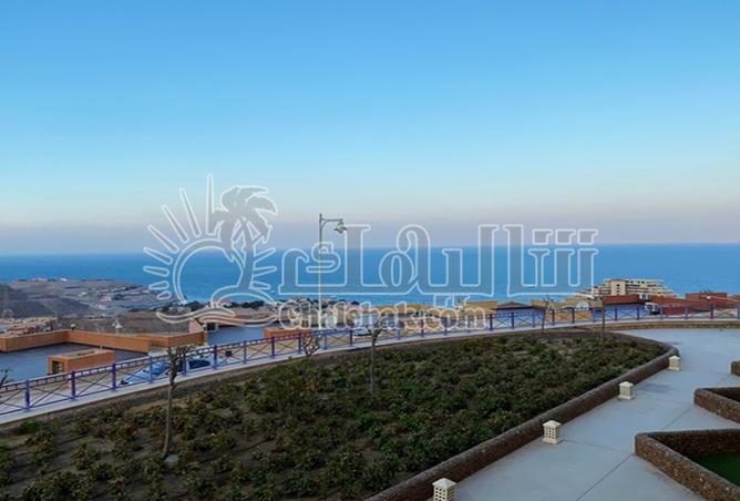 8383788 - صورة العقار 3