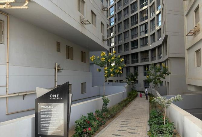 8181809 - صورة العقار 3