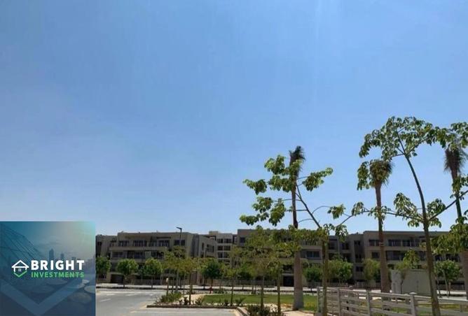 7885793 - صورة العقار 2
